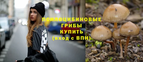 прущие грибы Алексин