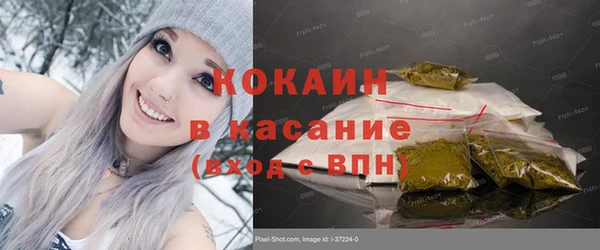 соль ск Алзамай